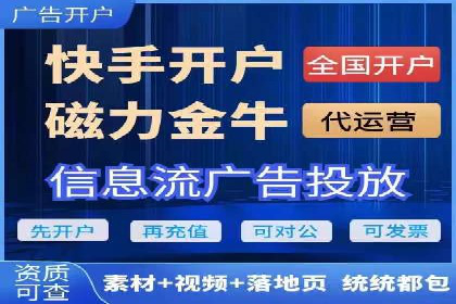 百度竞价排名服务的广告投放技巧与策略